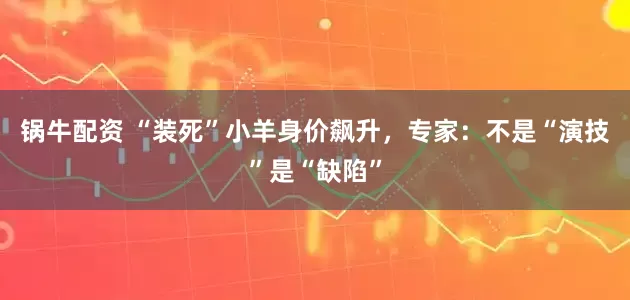 锅牛配资 “装死”小羊身价飙升，专家：不是“演技”是“缺陷”